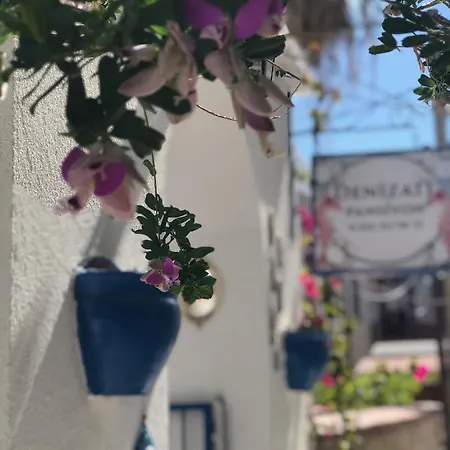 دينيزاتي بنسيون