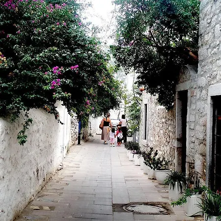 Denizati Pension