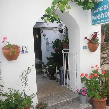 بيت شباب دينيزاتي بنسيون