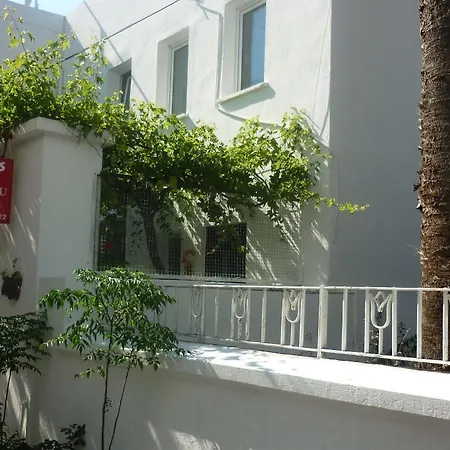 Hostel Denizati Pension *